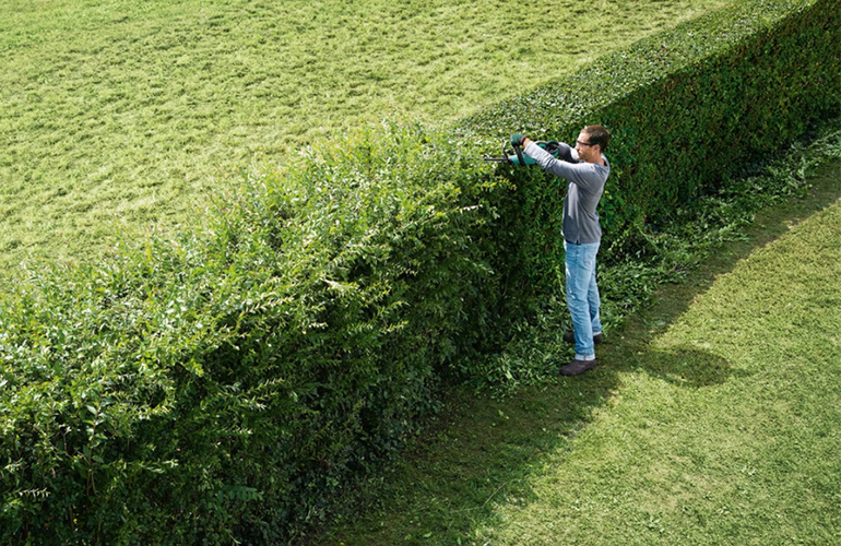 Hedge_overview